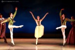 russian national ballet plock zdjecia fotograf jezioro łabędzie Piotr Augustyniak