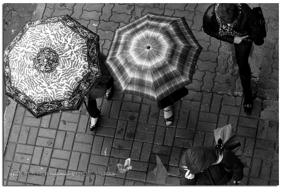 fotograf-plock-11
